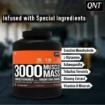 QNT 3000 Muscle Mass Gainer - Image 3