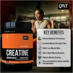 QNT Creatine 250g - Image 2