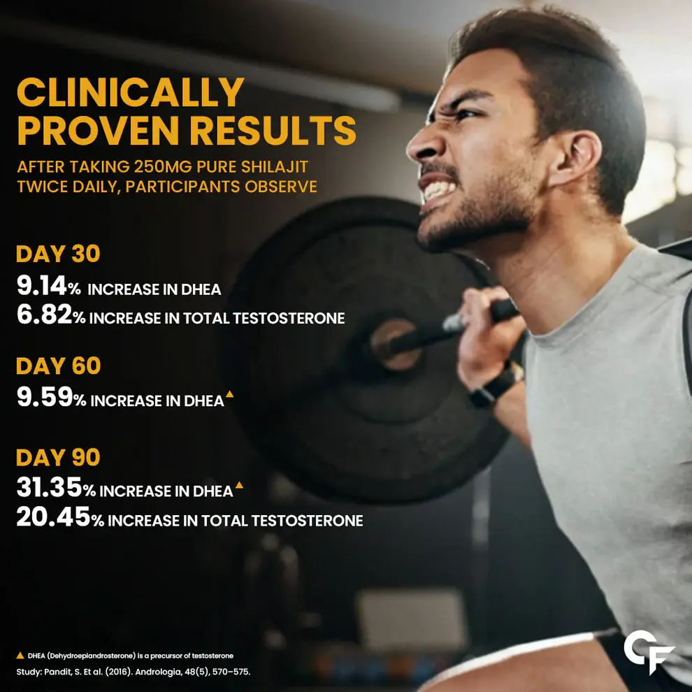 ShilajitGoldCapsule4 (1)
